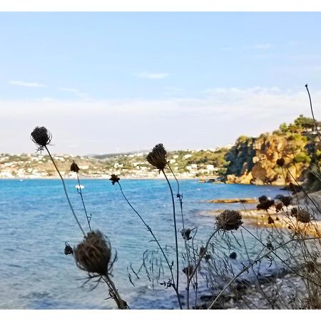 Case D'Anna Castellammare del Golfo Exterior foto